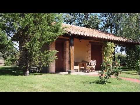 El Mirlo Blanco Candeleda: Descubre el encanto de este hermoso ave en Candeleda