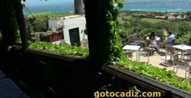 Descubre las increíbles fotos del Restaurante El Mirlo Tarifa