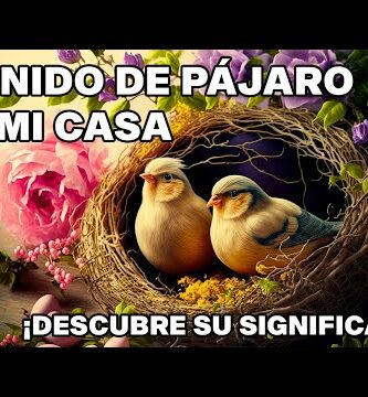 Nido de mirlo en casa: ¡Descubre cómo atraer y cuidar a estas aves en tu hogar!