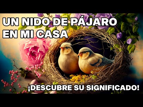 Nido de mirlo en casa: ¡Descubre cómo atraer y cuidar a estas aves en tu hogar!