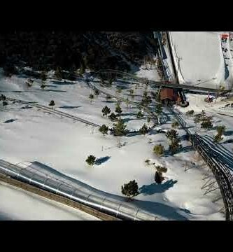 El Mirlo Blanco Sierra Nevada: Un tesoro en la naturaleza