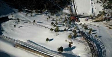 El Mirlo Blanco Sierra Nevada: Un tesoro en la naturaleza