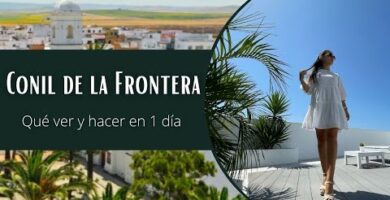 Descubre los encantos del Mirlo en Conil