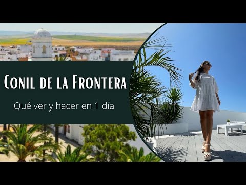 Descubre los encantos del Mirlo en Conil