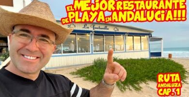 Bar El Mirlo Conil: ¡La mejor opción para disfrutar en Conil!