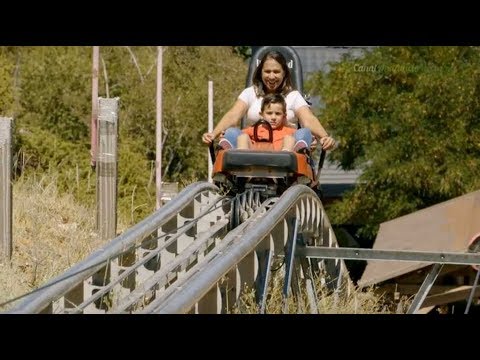 Descubre la belleza del Mirlo Blanco en Granada